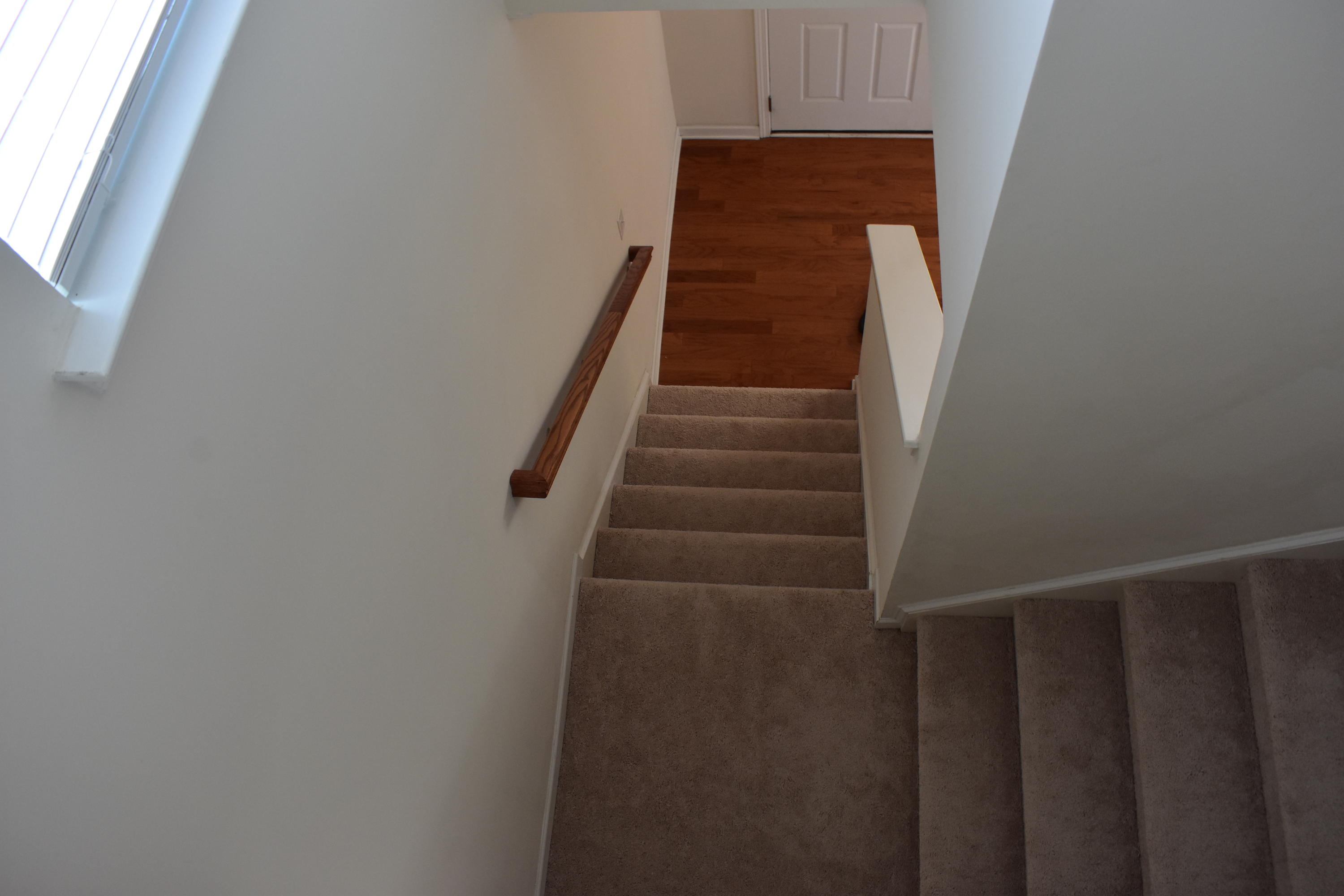 302 Beautyberry Road Summerville, SC 29486 - Photo 32 of 47 DSC_0049