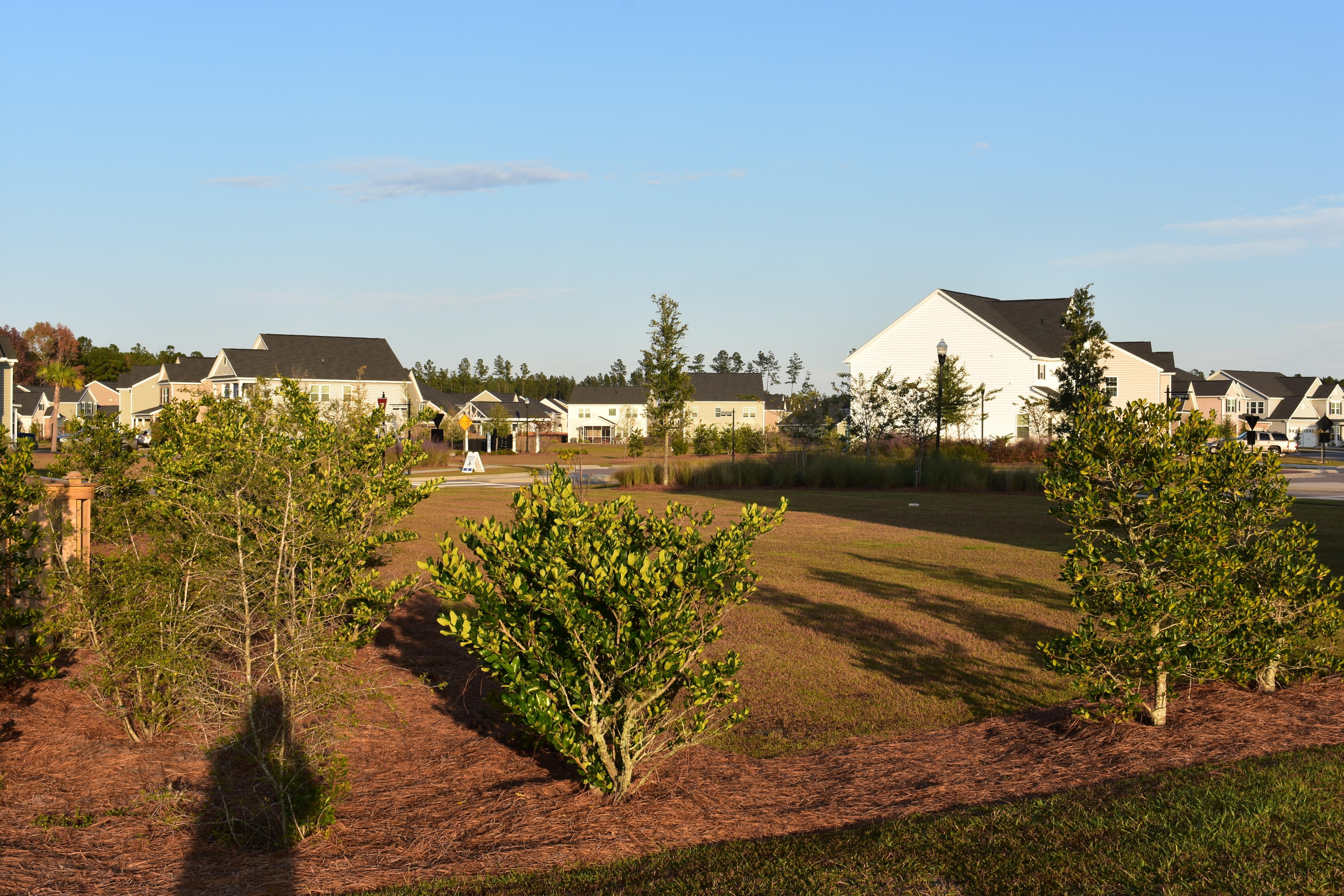 302 Beautyberry Road Summerville, SC 29486 - Photo 42 of 47 DSC_0057