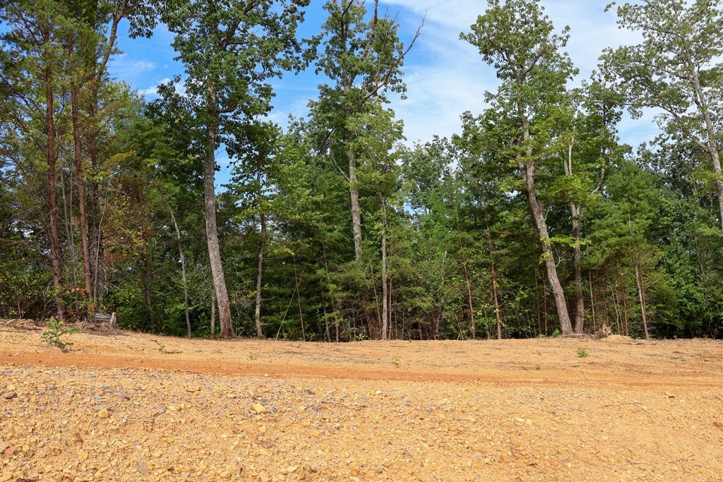 250 Sonshine Ridge Road Cosby, TN 37722 - Photo 10 of 15