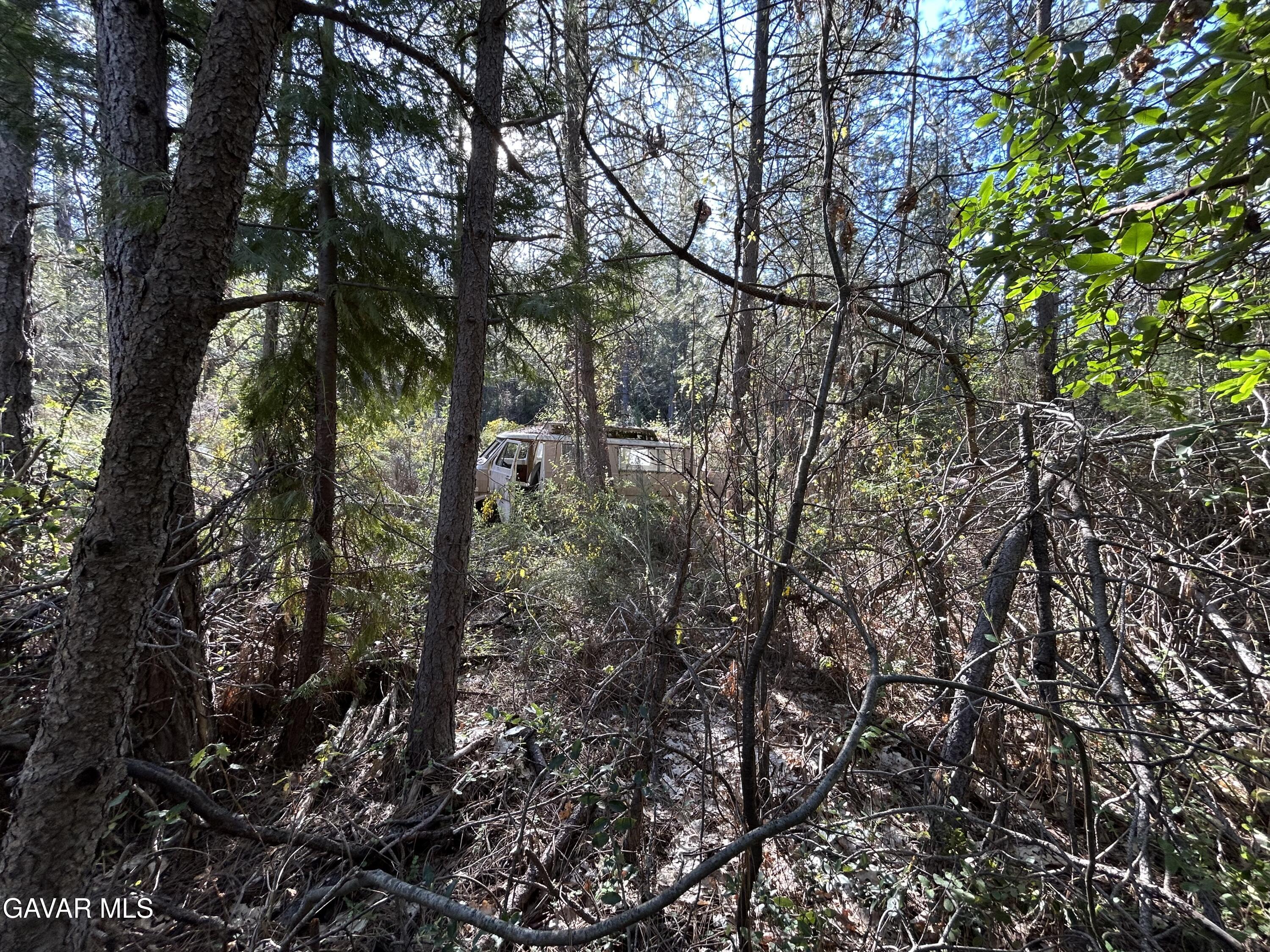 14435 Grizzly Hill Road Nevada City, CA 95959 - Photo 20 of 20 a view of a tree