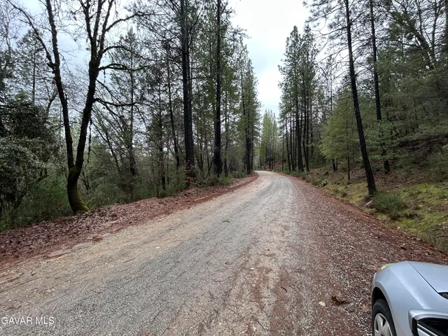 a view of outdoor space with trees