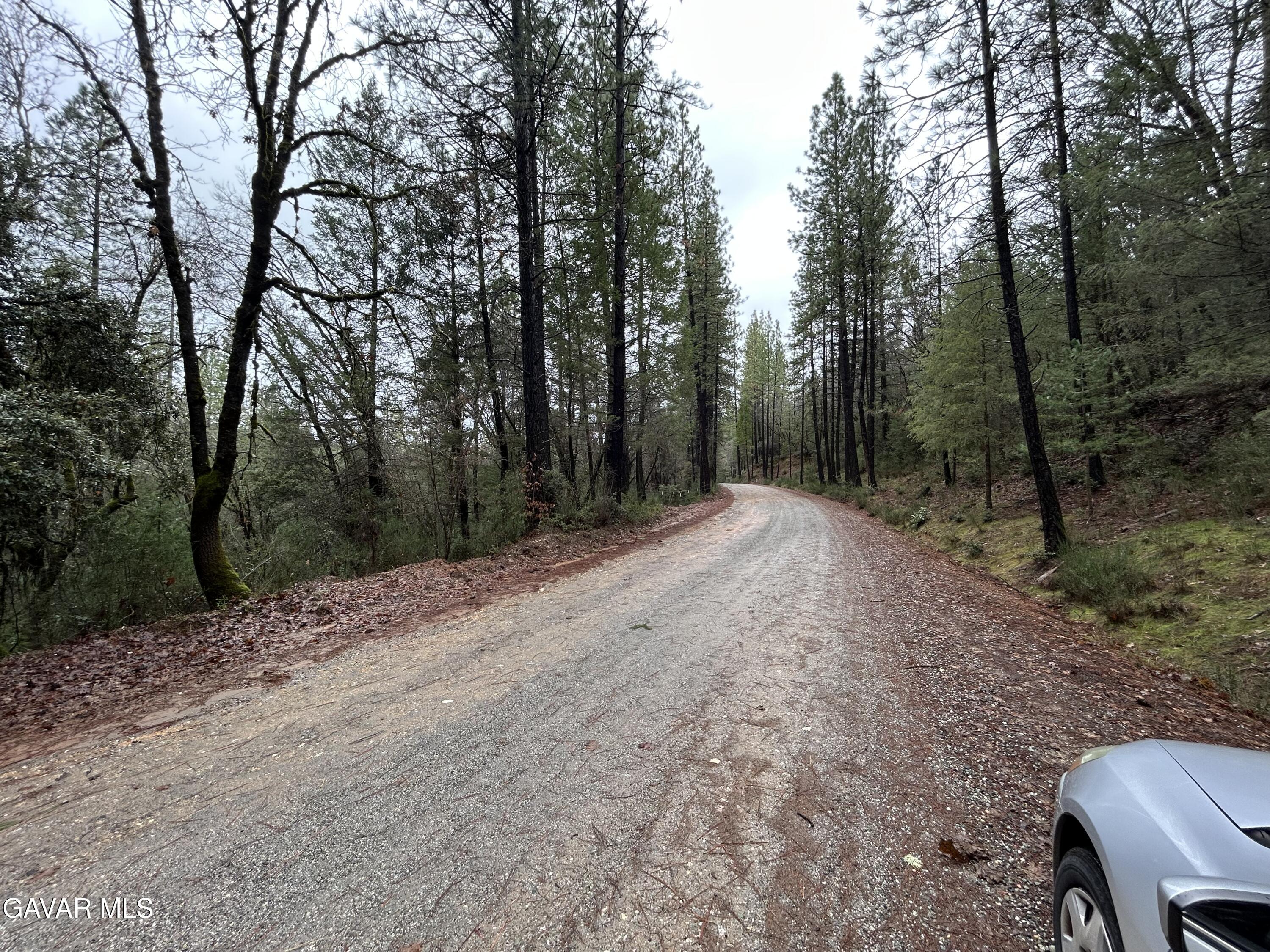 14435 Grizzly Hill Road Nevada City, CA 95959 - Photo 2 of 20 a view of outdoor space with trees