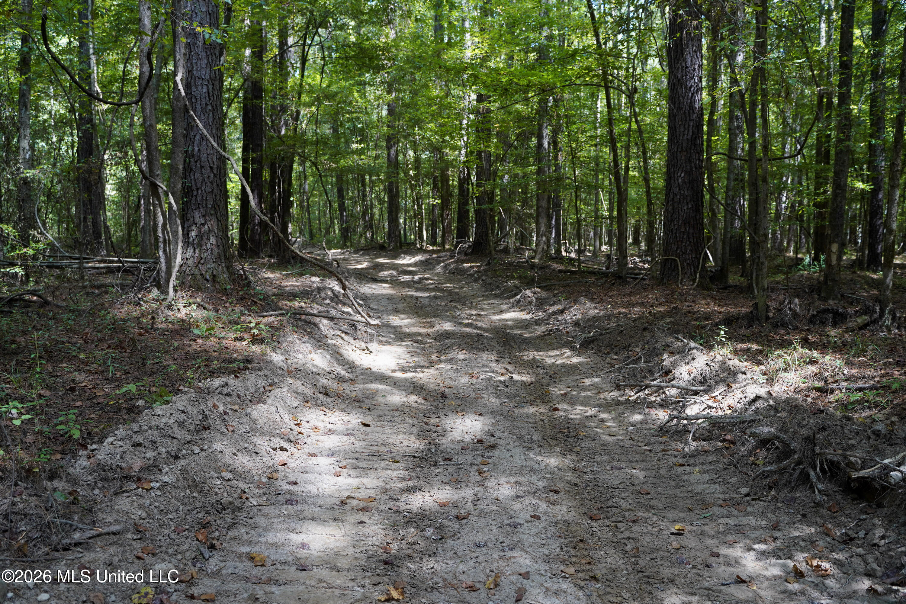 Mcintyre Road Brandon, MS 39042 - Photo 5 of 100 12-DSC08602