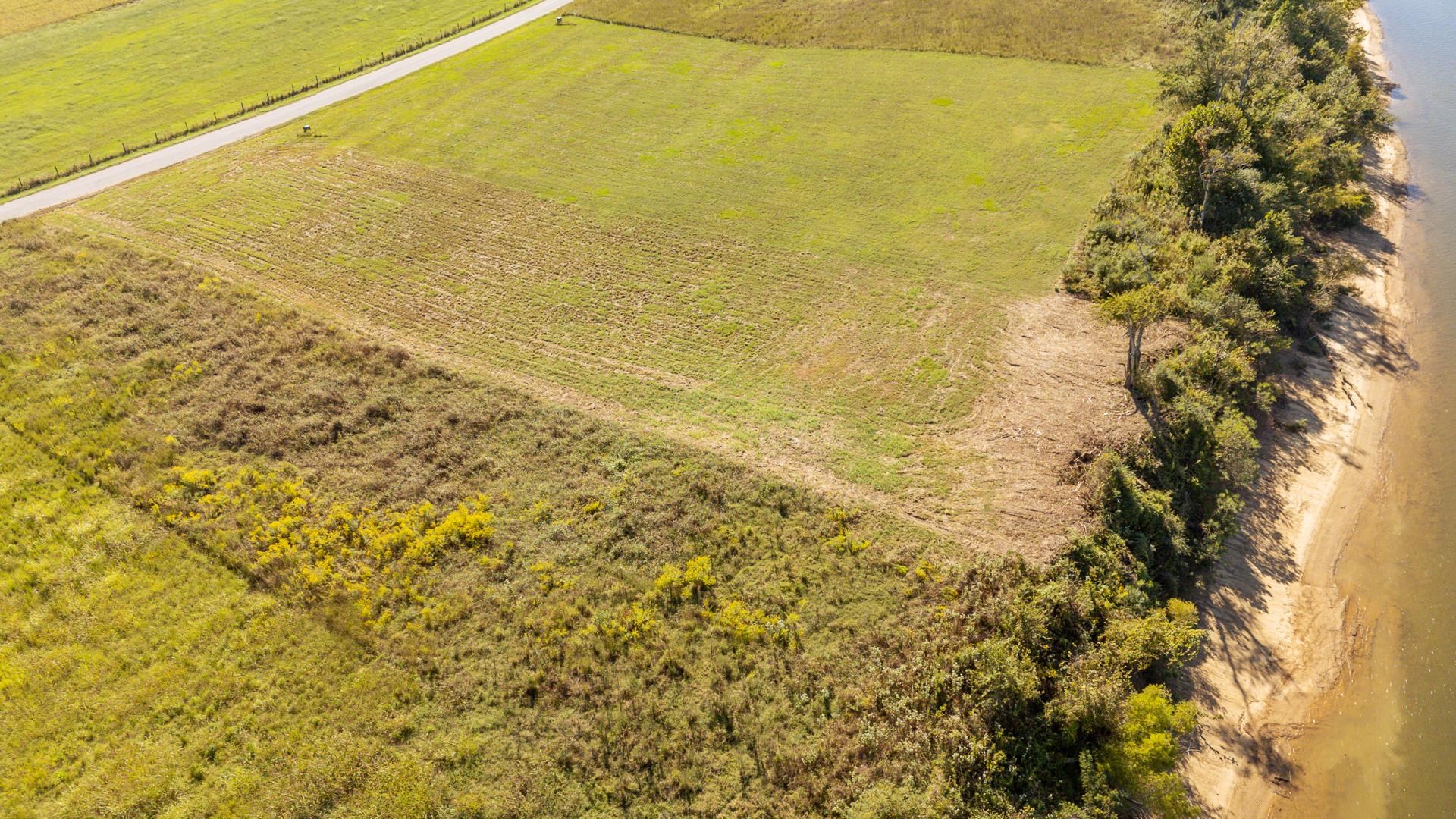 Lot 74 Cravens Road Savannah, TN 38372 - Photo 22 of 39 a view of an ocean