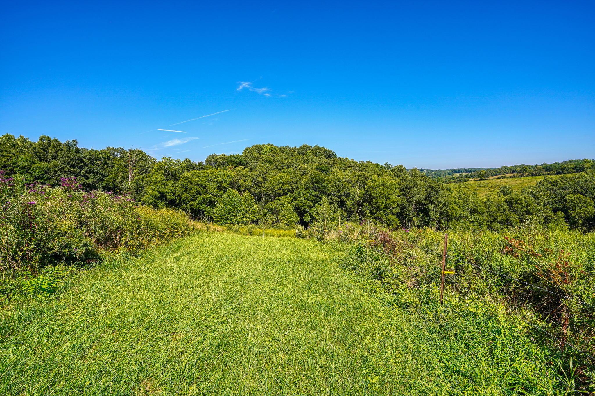 12249 Lehman Road Logan, OH 43138 - Photo 36 of 98 12249 Mowery-Lehman Rd (33)