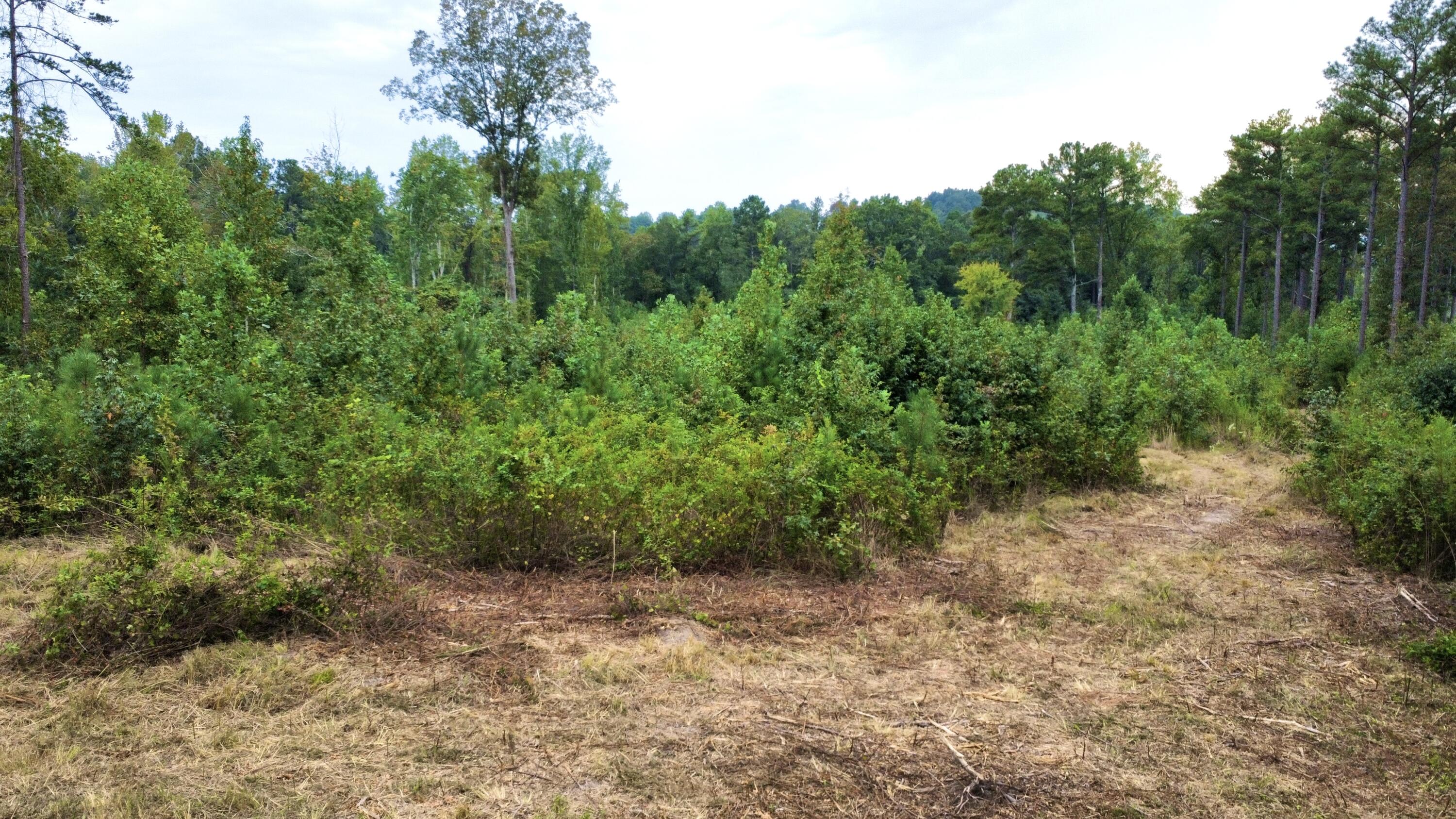 3 Highway 2 Dalton, GA 30721 - Photo 11 of 16 11