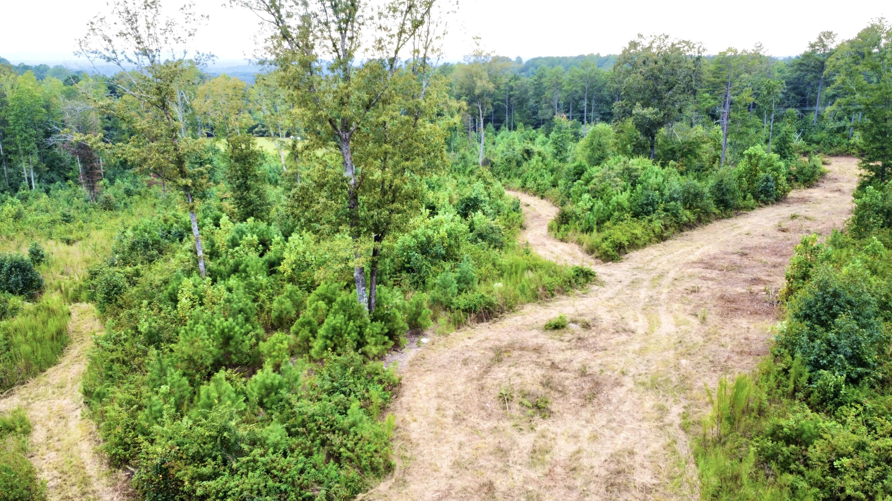 3 Highway 2 Dalton, GA 30721 - Photo 8 of 16 8