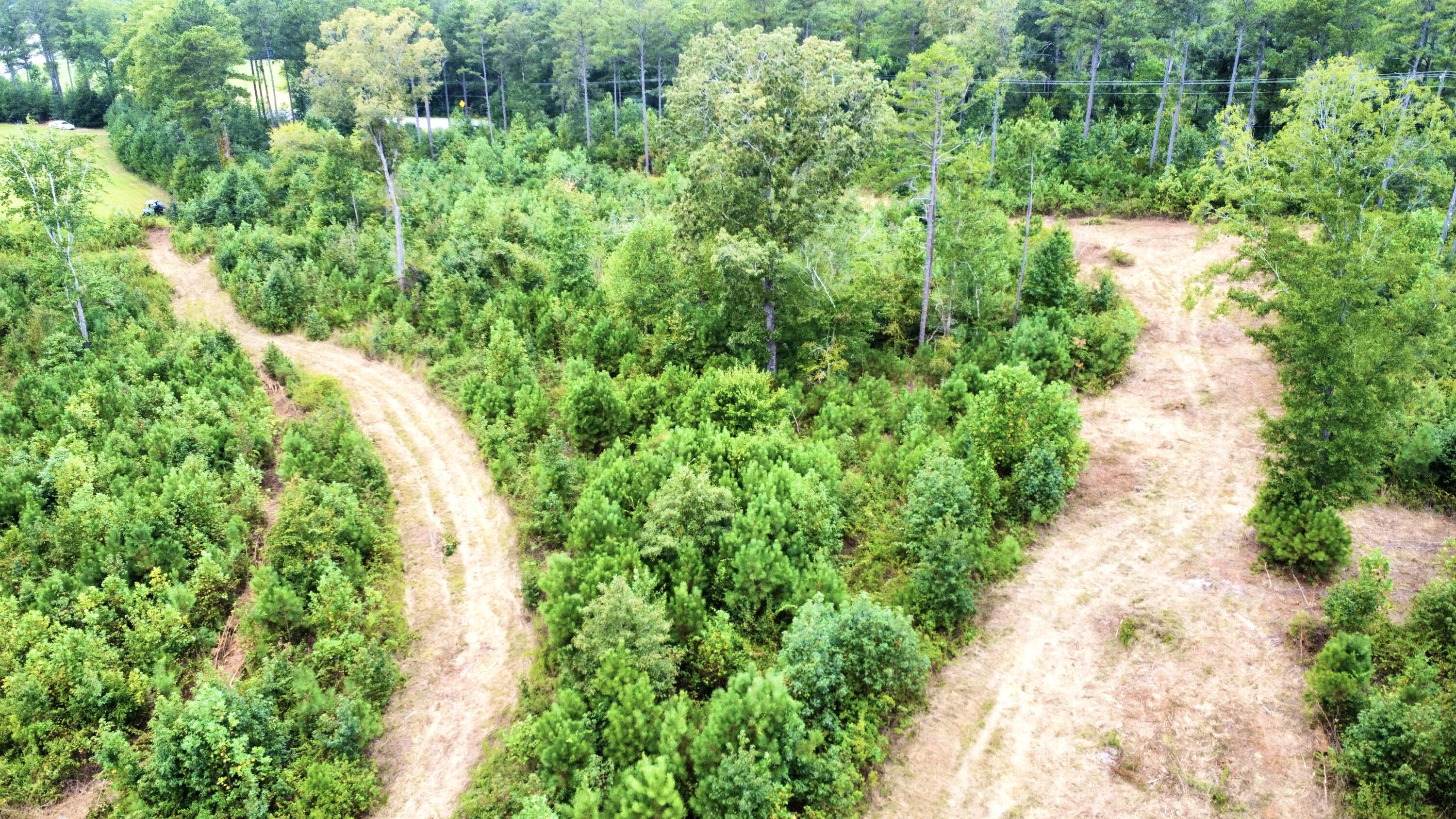 3 Highway 2 Dalton, GA 30721 - Photo 9 of 16 9