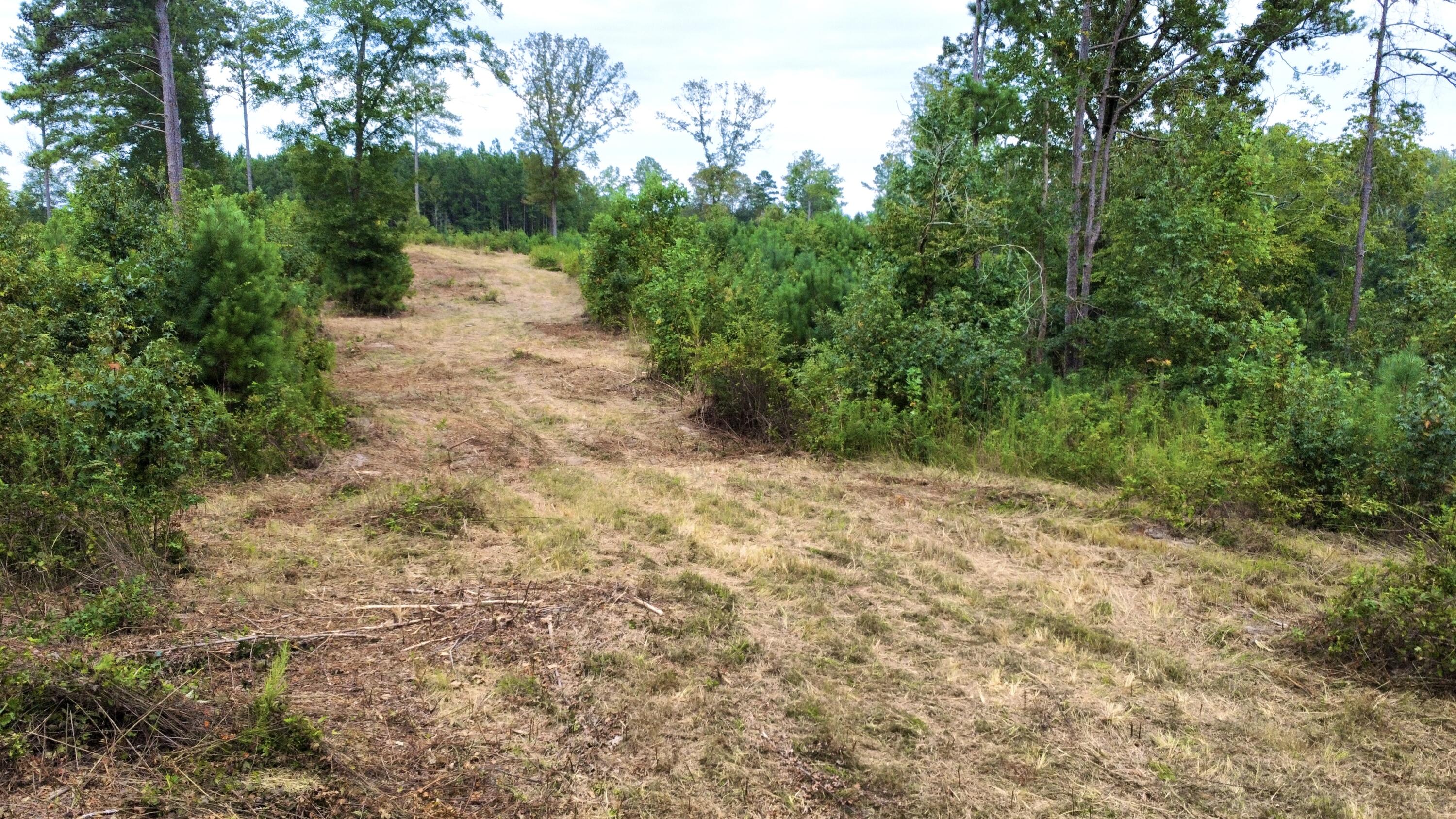 3 Highway 2 Dalton, GA 30721 - Photo 10 of 16 10