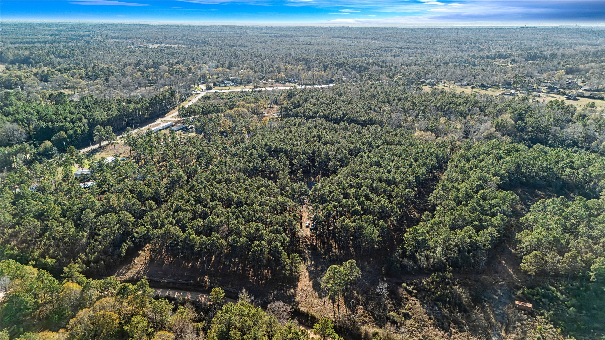 235 Bracewell Cemetery Road Livingston, TX 77351 - Photo 26 of 37 a view of a city with lush green forest