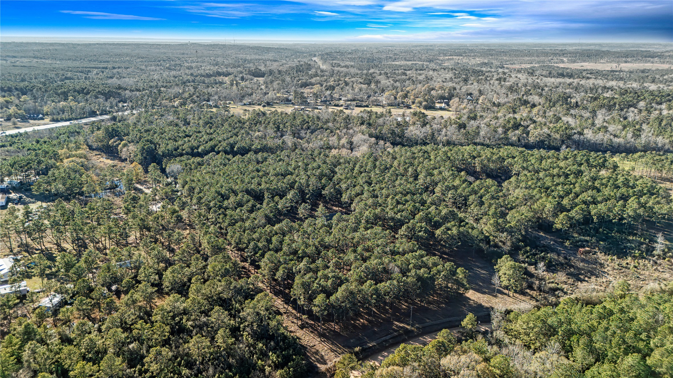 235 Bracewell Cemetery Road Livingston, TX 77351 - Photo 27 of 37 an aerial view of residential houses with outdoor and green space