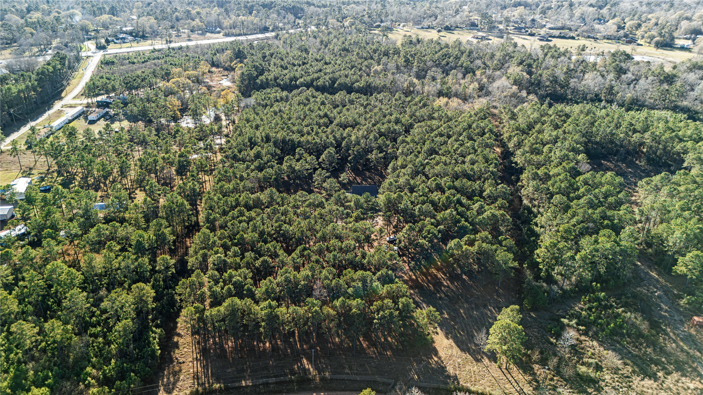 235 Bracewell Cemetery Road Livingston, TX 77351 - Photo 29 of 37 a view of a forest with a tree