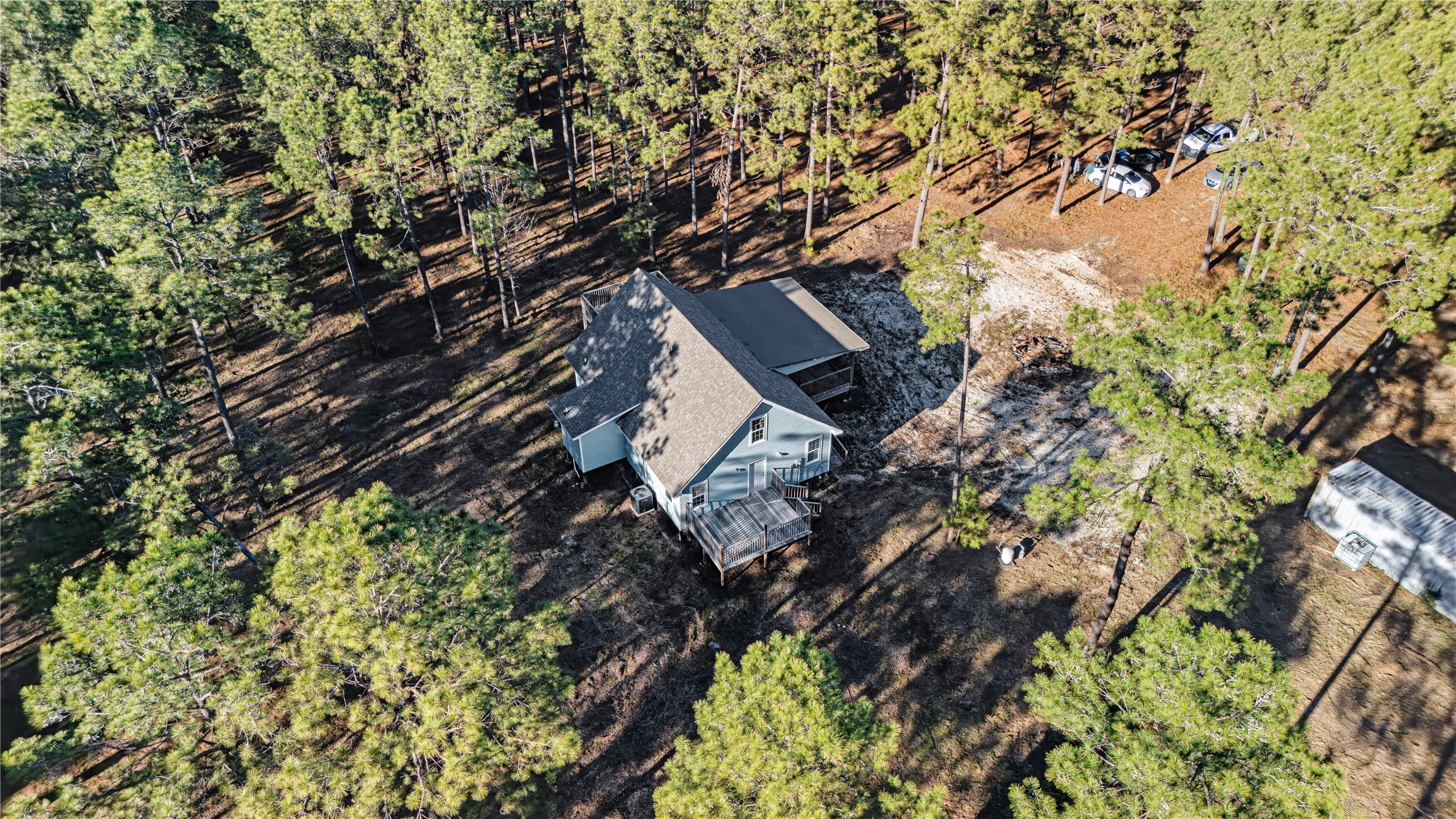 235 Bracewell Cemetery Road Livingston, TX 77351 - Photo 37 of 37 a picture of tree