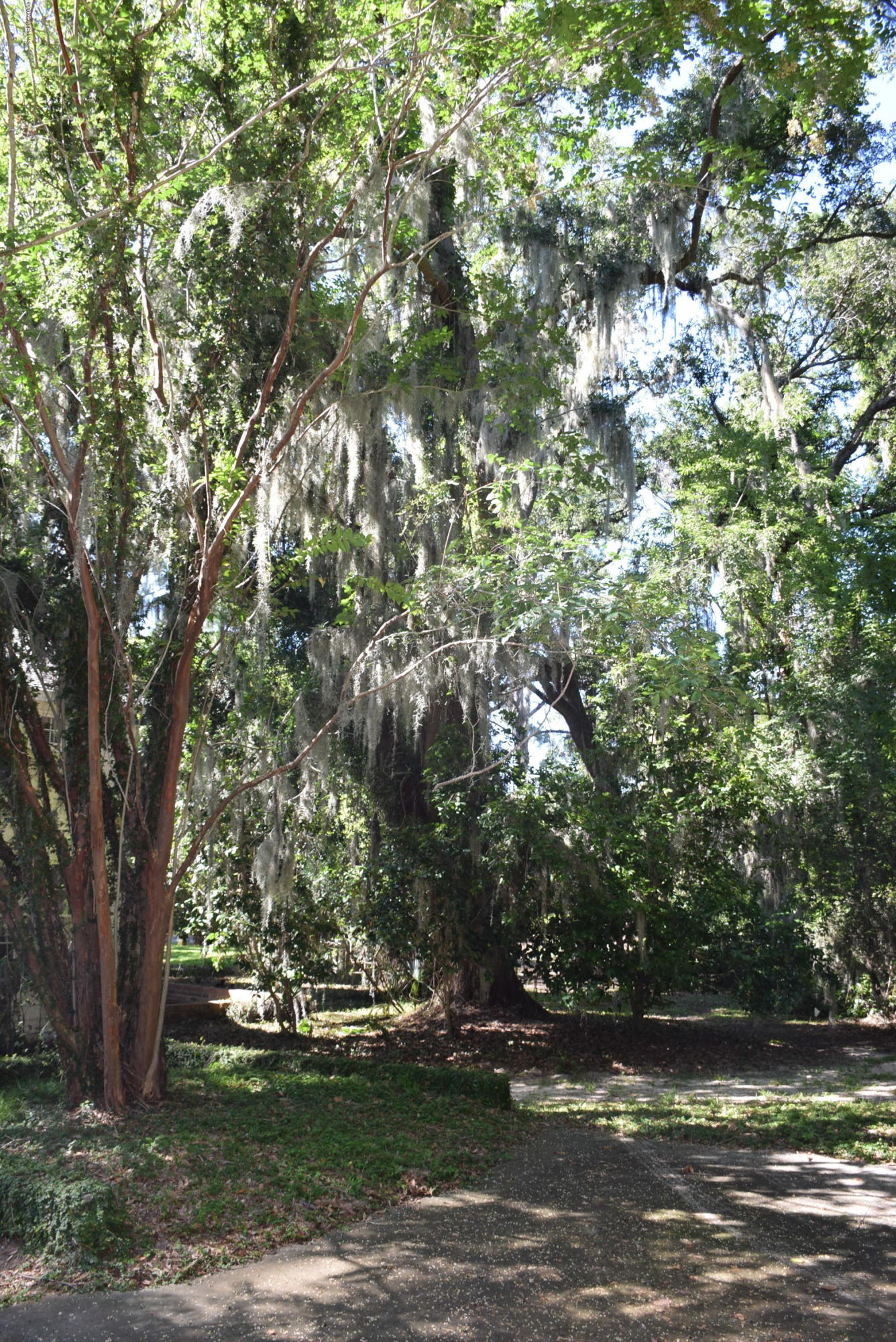 30 State Rd S-7-708 Beaufort, SC 29907 - Photo 24 of 25 DSC_0031