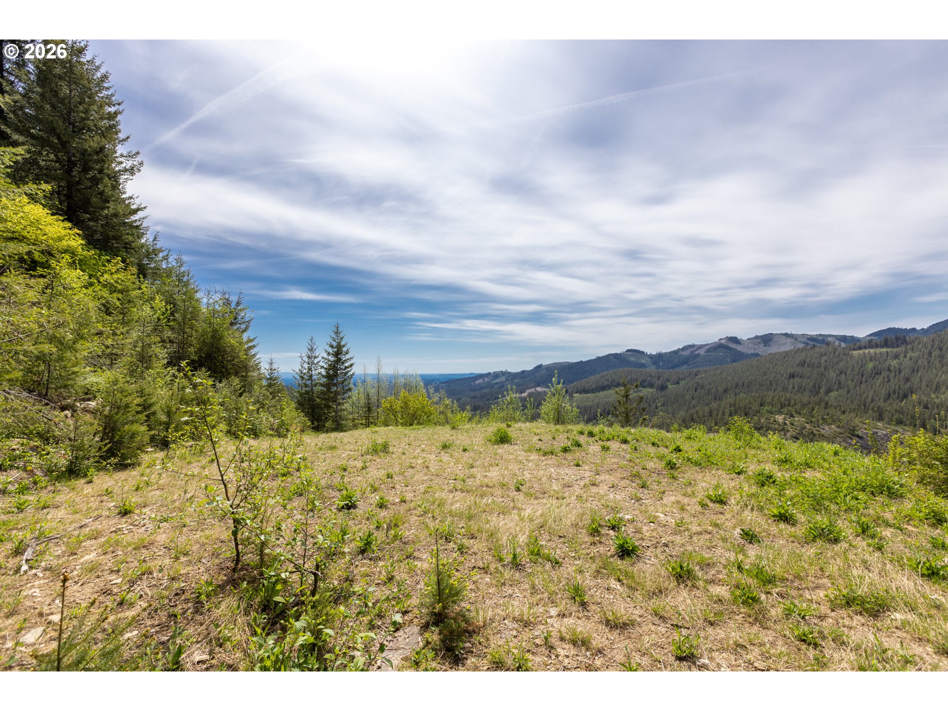 Snag Mountain Road Yacolt, WA 98675 - Photo 14 of 41 a view of a yard with an ocean