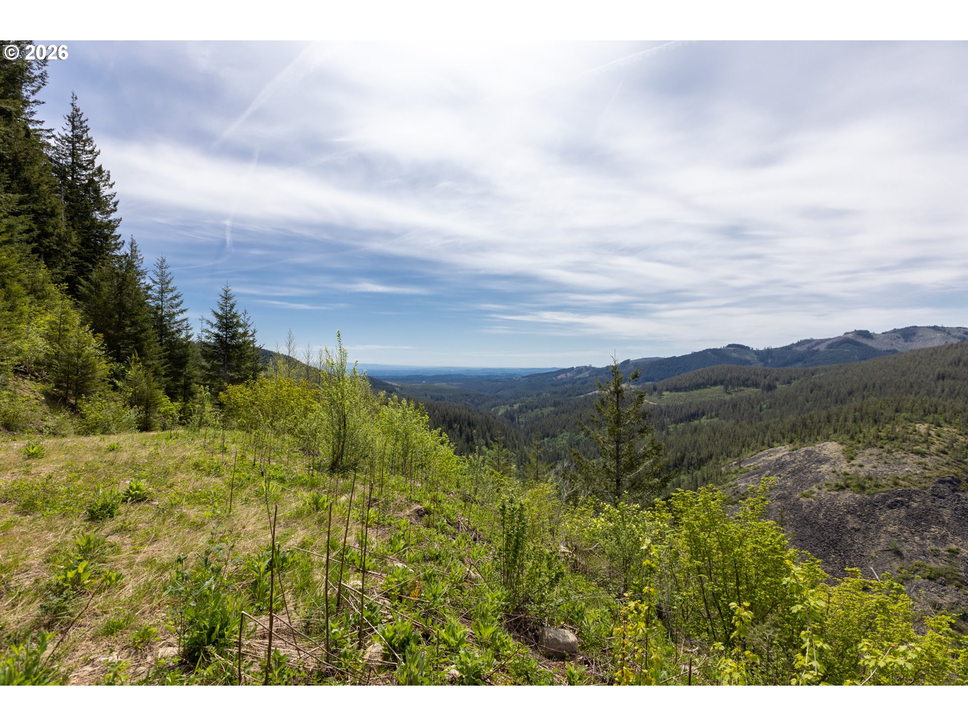 Snag Mountain Road Yacolt, WA 98675 - Photo 16 of 41 a view of lake with green space