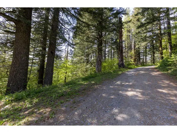 a view of outdoor space with trees all around