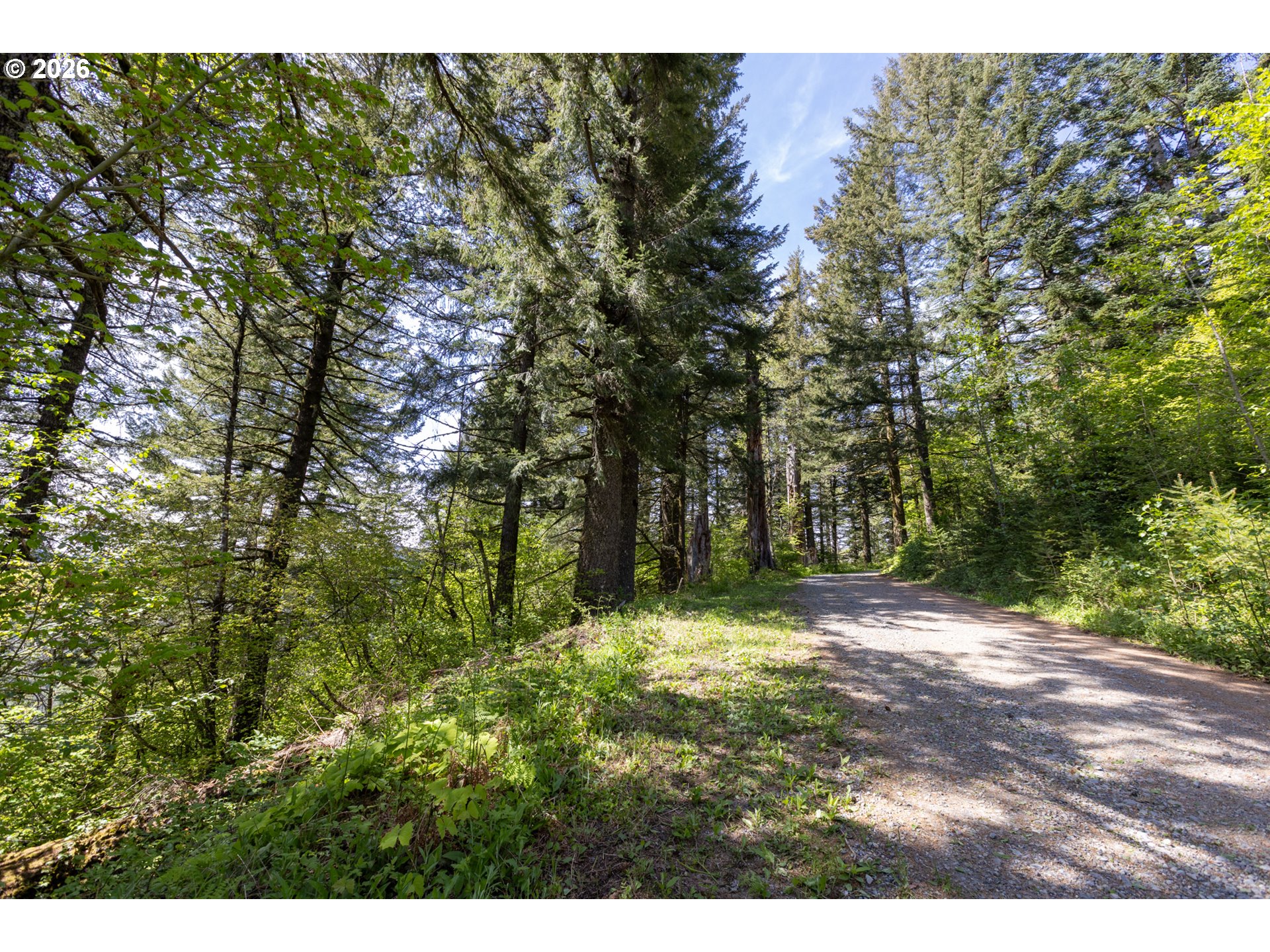 Snag Mountain Road Yacolt, WA 98675 - Photo 20 of 41 a view of outdoor space with trees all around