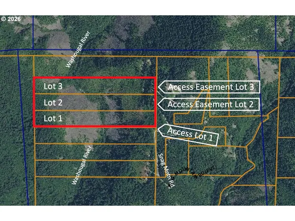 a view of a yard with plants and large trees