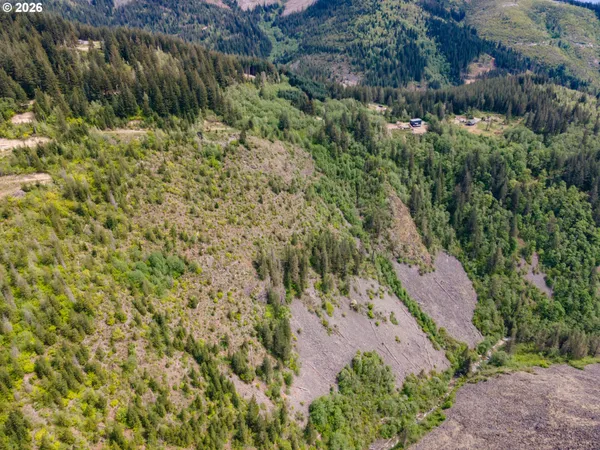 a view of a yard with plants and wooden fence