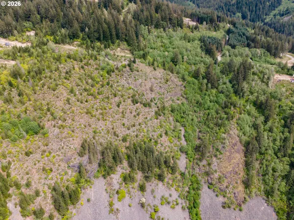 a view of a forest with mountains in the background