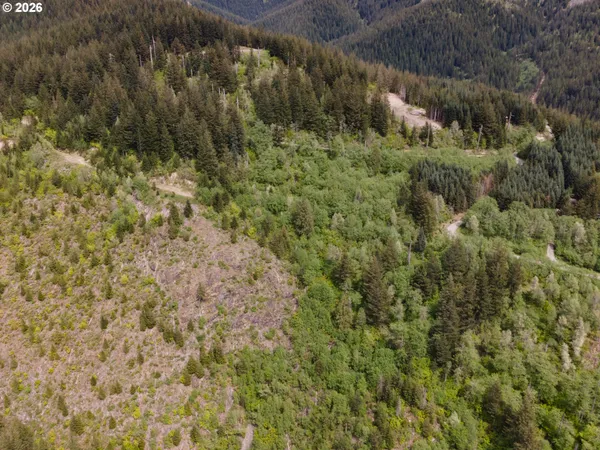 a view of a lush green hillside and a houses