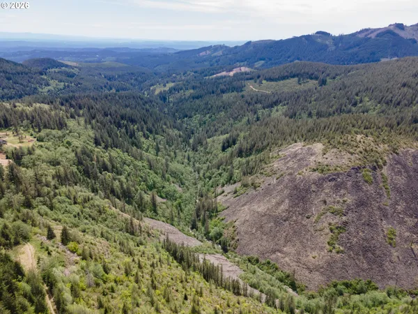 a view of a forest with mountains in the background