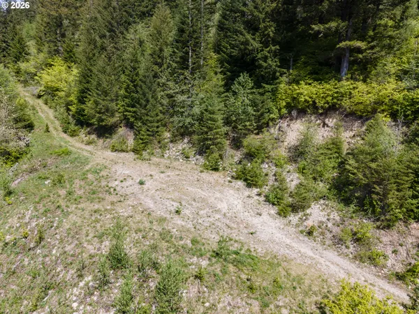 a view of a yard with a tree
