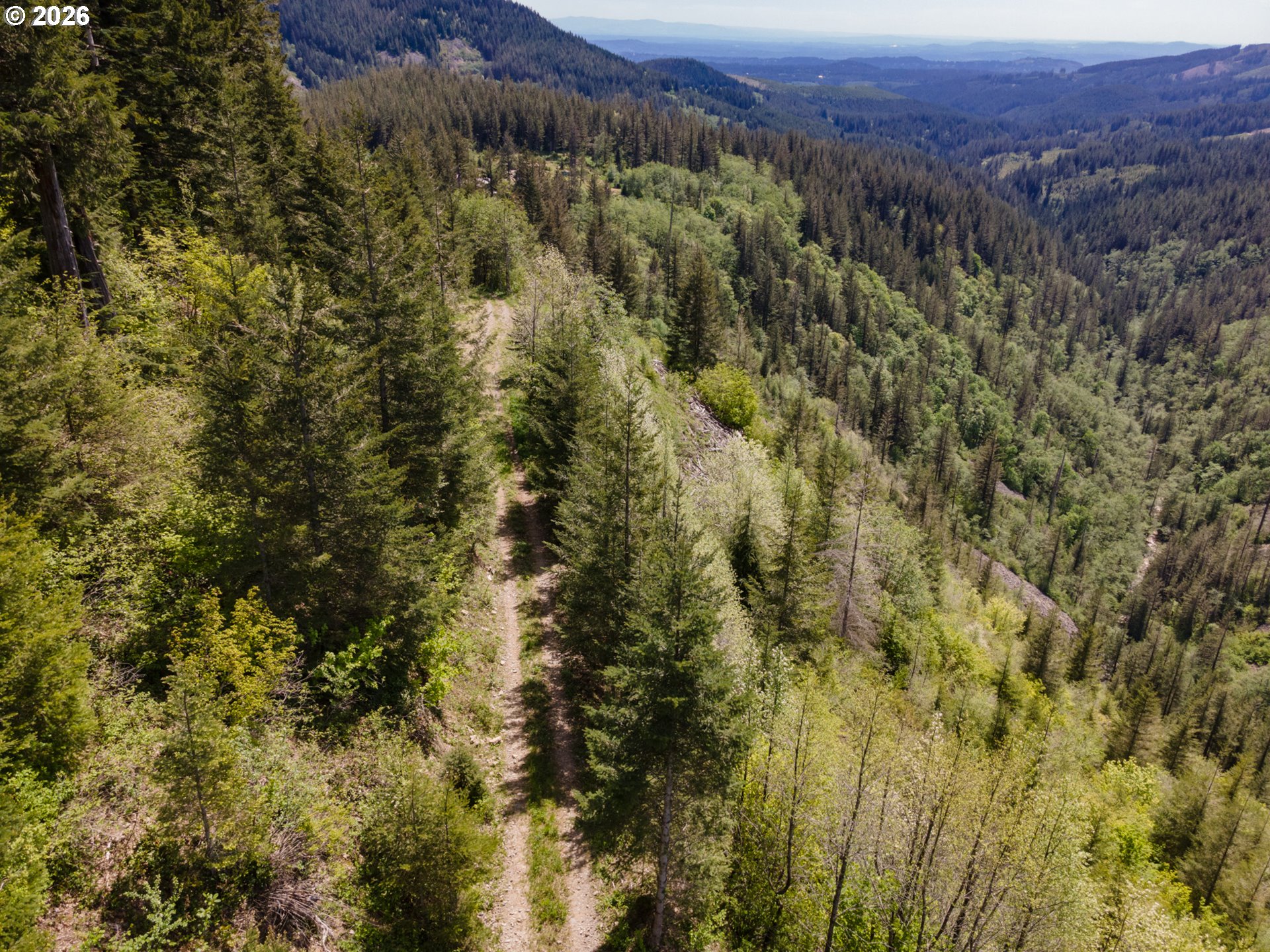 Snag Mountain Road Yacolt, WA 98675 - Photo 36 of 41 a view of a forest with a street