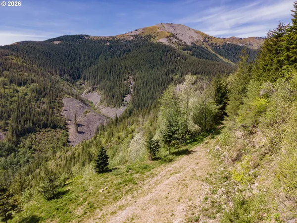 $495,000 | Snag Mountain Road, Yacolt, WA 98675