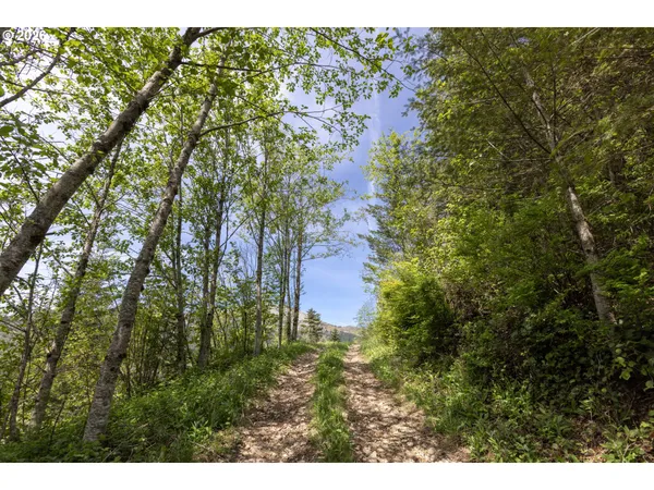 a view of a big yard