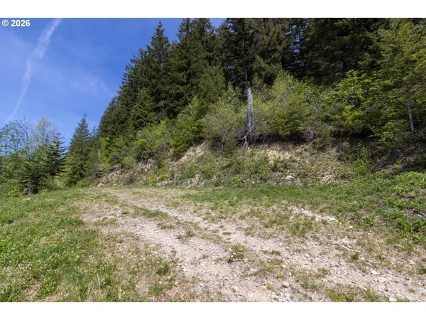 a view of a field with mountains in the background