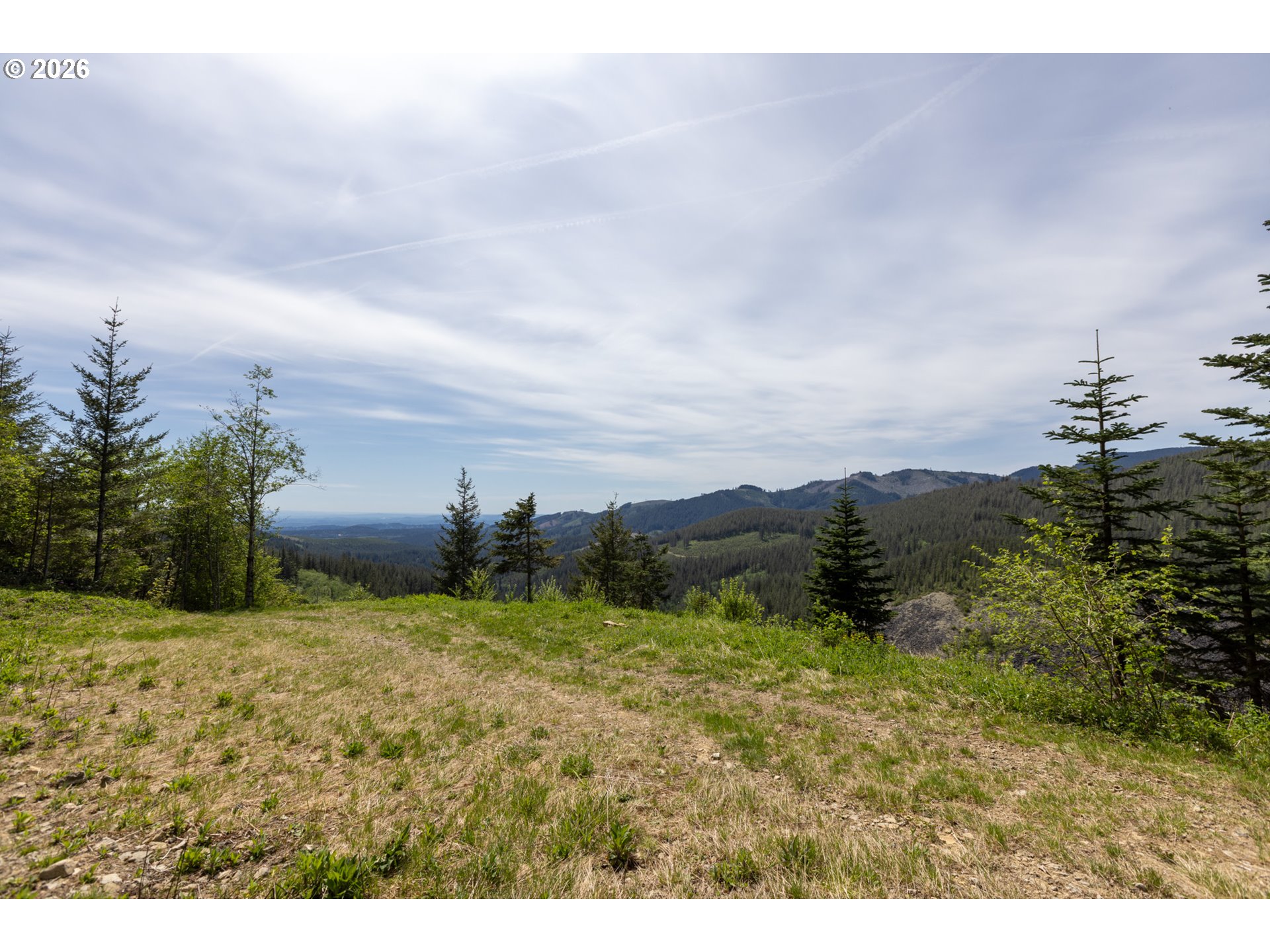 Snag Mountain Road Yacolt, WA 98675 - Photo 10 of 41 a view of a dry yard with trees