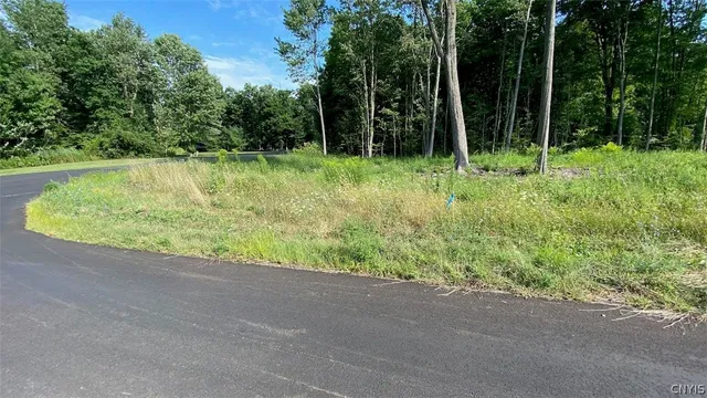 $15,000 | 27 Elizabeth Street, Oswego, NY 13126