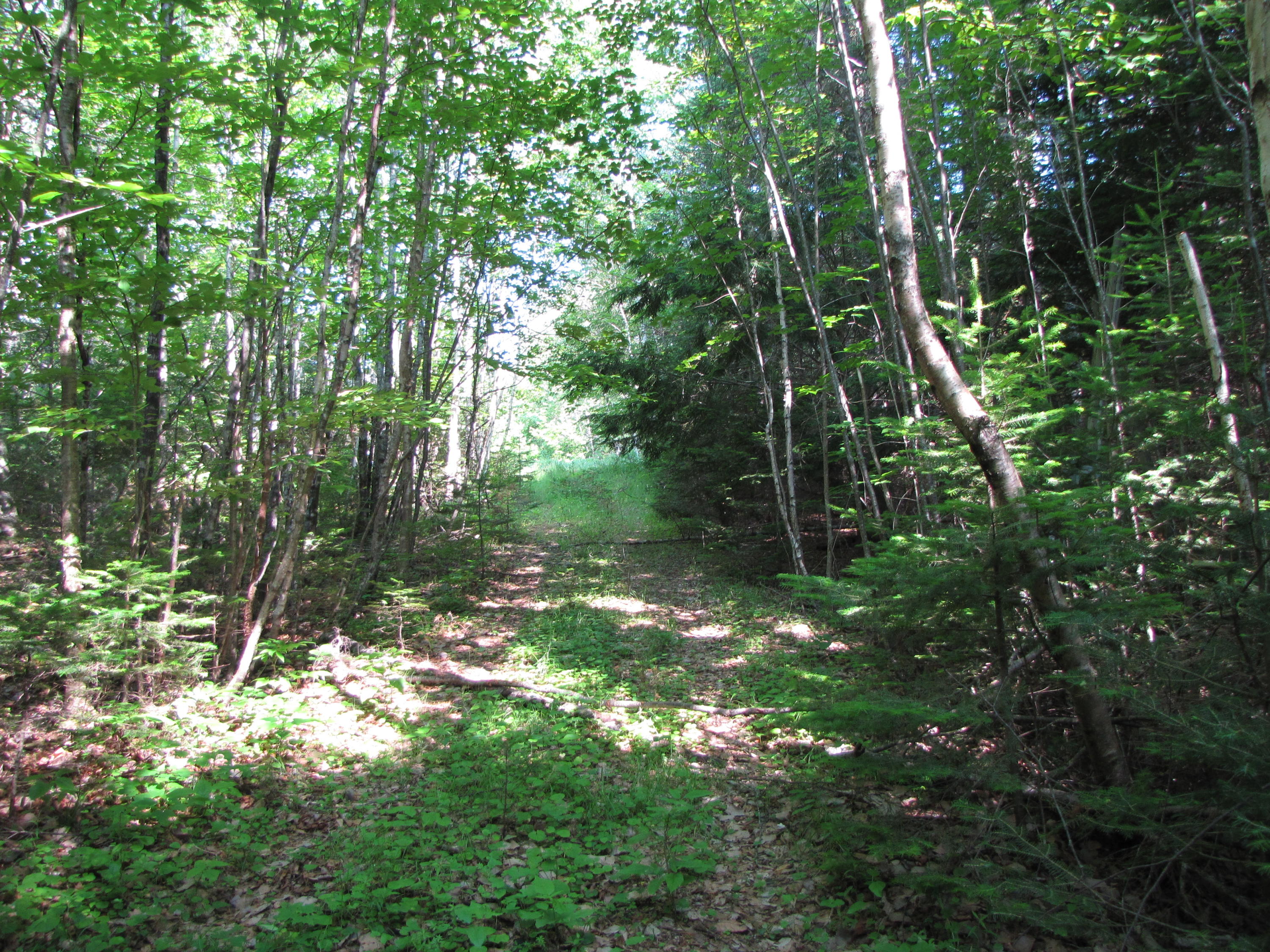 172 Smith Road Amherst, ME 04605 - Photo 6 of 16 IMG_0348