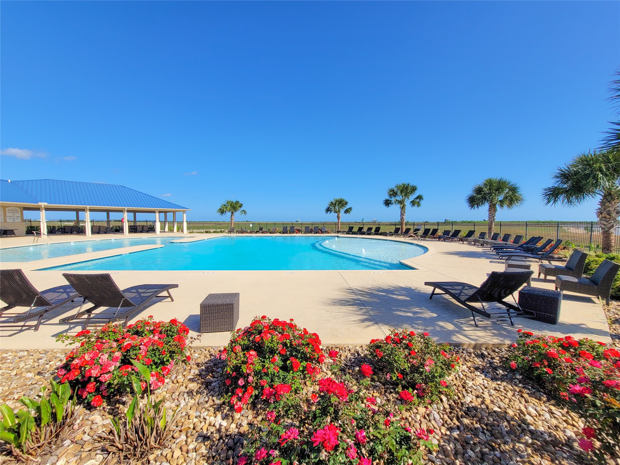 3225 Bay Rdg Drive Palacios, TX 77465 - Photo 11 of 15 a picture of flowers and flowers