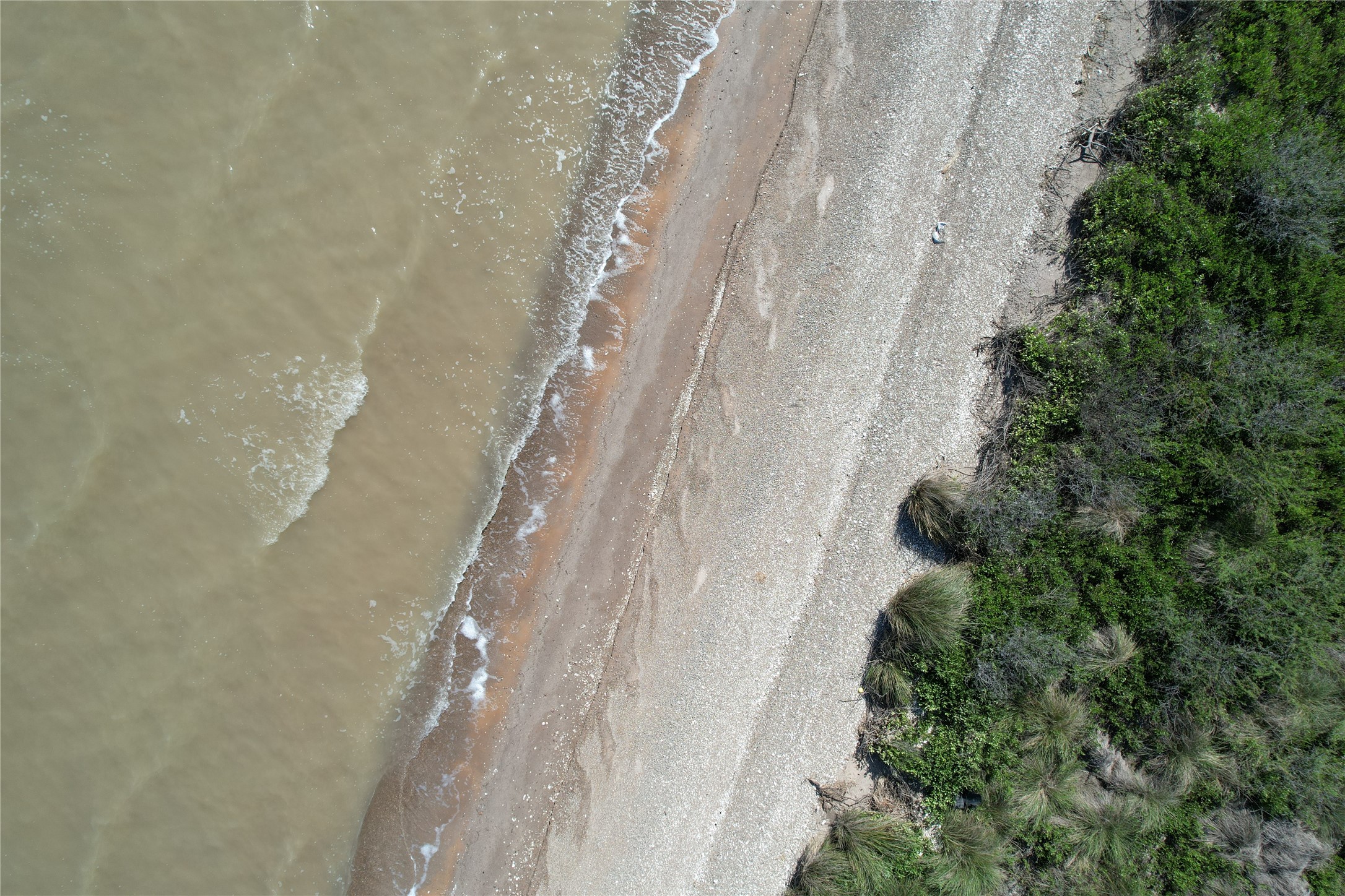 3225 Bay Rdg Drive Palacios, TX 77465 - Photo 4 of 15 a close up of a white marble wall