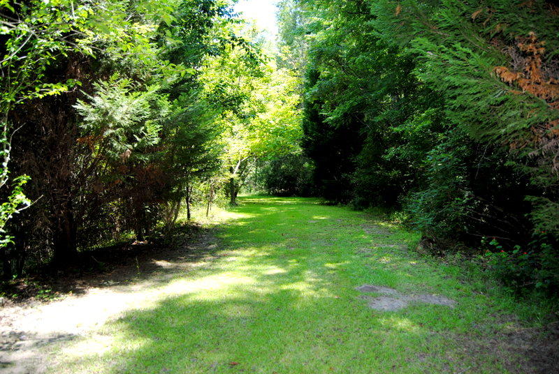 933 Shane Lane Moncks Corner, SC 29461 - Photo 7 of 18 DSC_0249