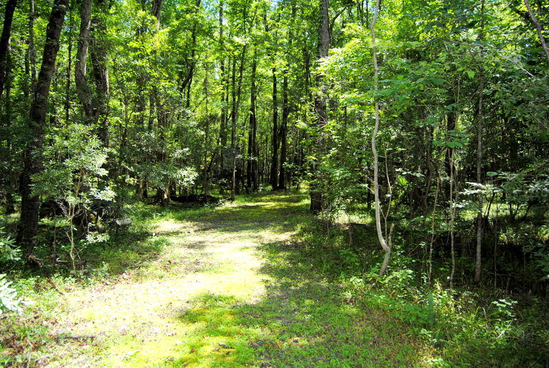 933 Shane Lane Moncks Corner, SC 29461 - Photo 8 of 18 DSC_0252
