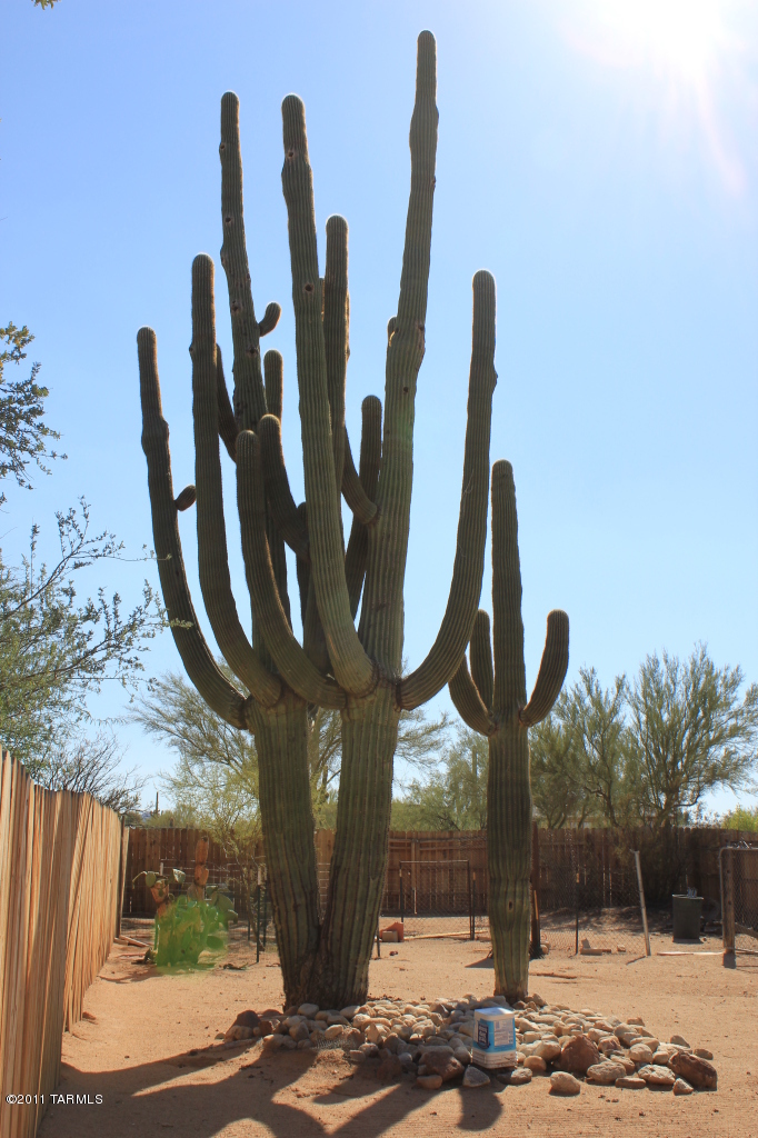 7060 North Gemstone Road Tucson, AZ 85743 - Photo 16 of 20