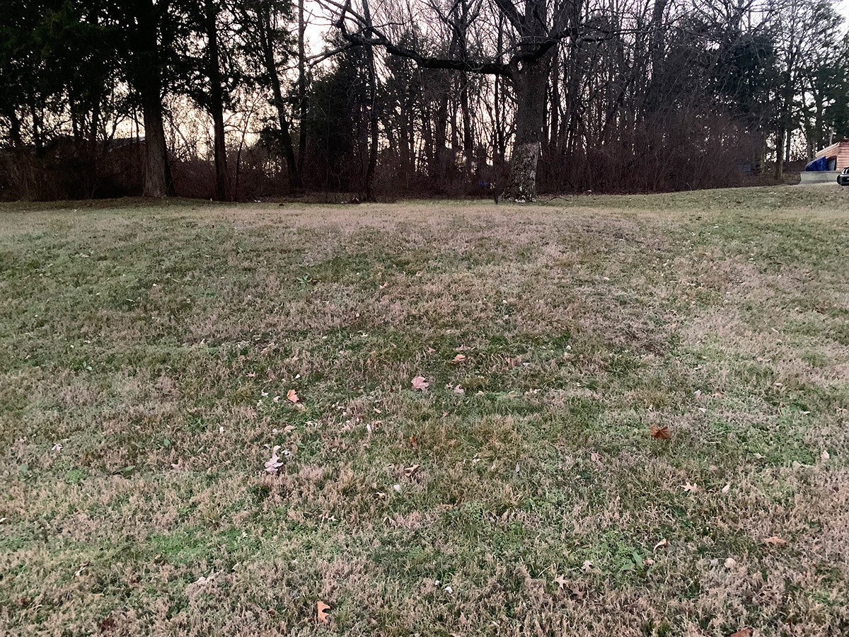 567 Bell Road Antioch, TN 37217 - Photo 2 of 6 Gallery Image 2