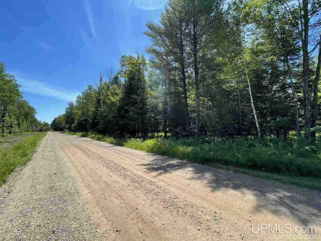 Tbd Chvala Road Manistique, MI 49854 - Photo 20 of 21 Gallery Image 20