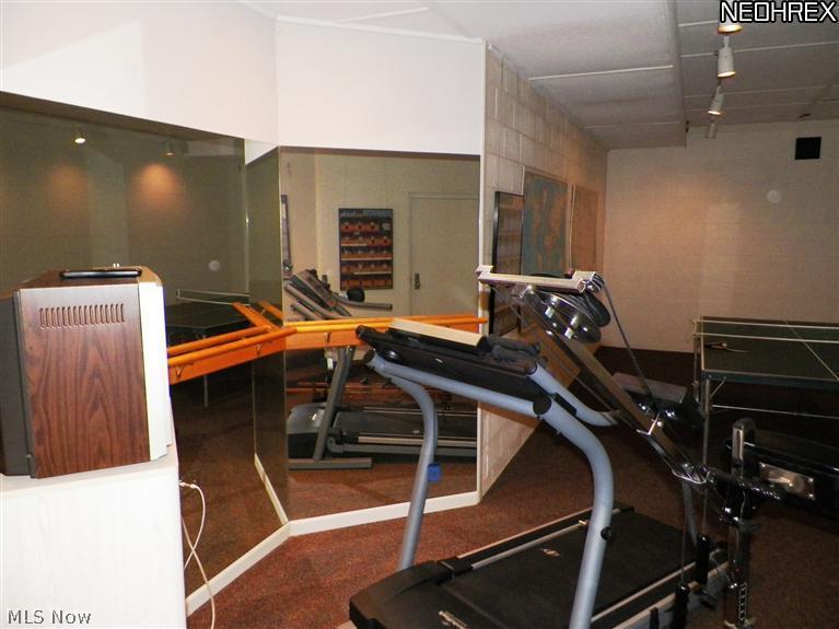 2730 North Bluff Ridge Drive Port Clinton, OH 43452 - Photo 23 of 25 Work out room and game room. There is a temperature controlled Wine Cellar off of this room.