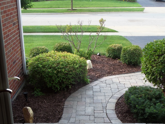 886 Oak Ridge Boulevard Elgin, IL 60120 - Photo 3 of 22