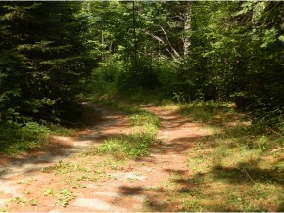 1520 Corey Hill Road Newbury, VT 05069 - Photo 8 of 15