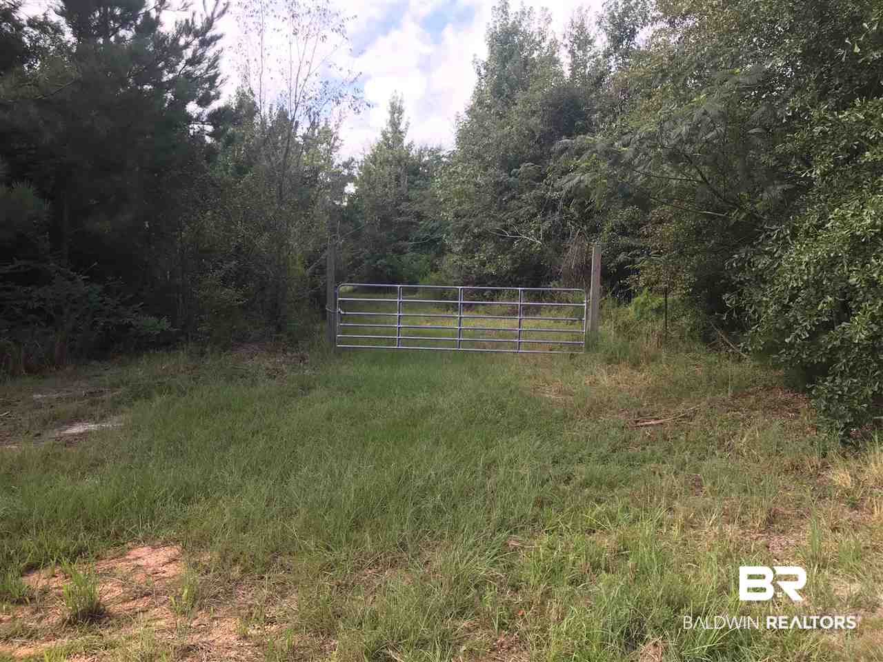 1000 Poole Road Castleberry, AL 36432 - Photo 4 of 17