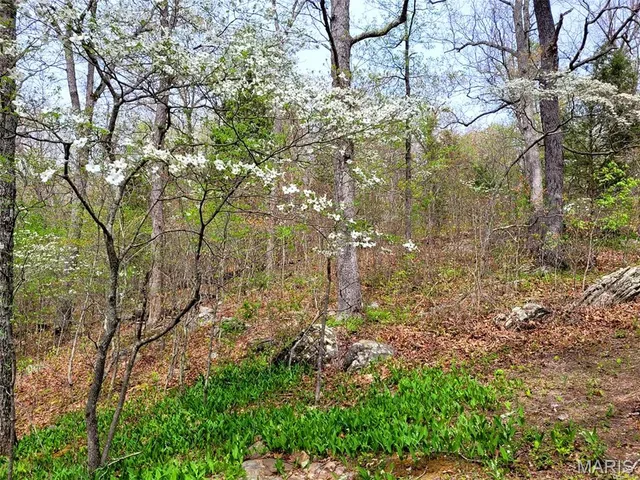 $345,000 | 0 Piazza Road, Cuba, MO 65453