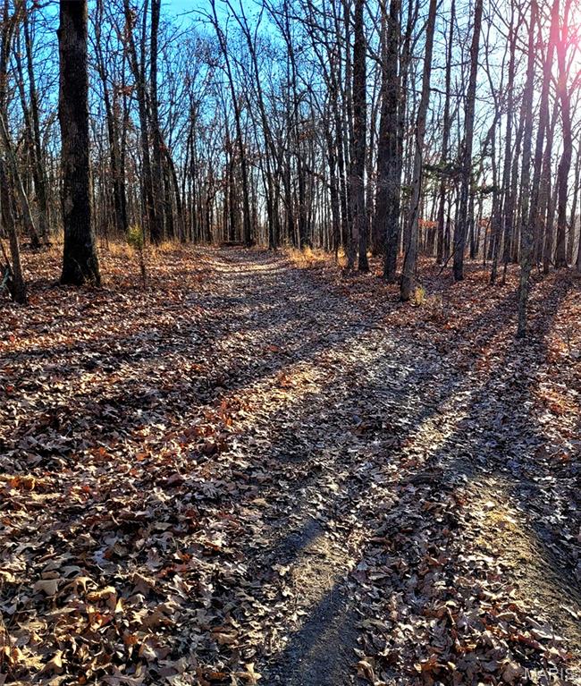 0 Piazza Road Cuba, MO 65453 - Photo 21 of 22