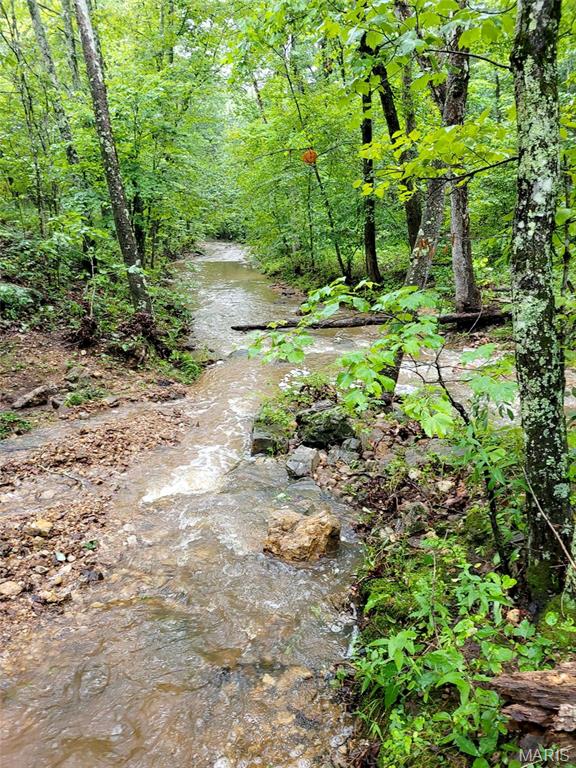 0 Piazza Road Cuba, MO 65453 - Photo 9 of 22