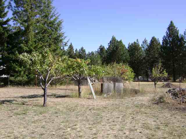 1823 West Pinto Road Colbert, WA 99005 - Photo 8 of 9 Gallery Image 8
